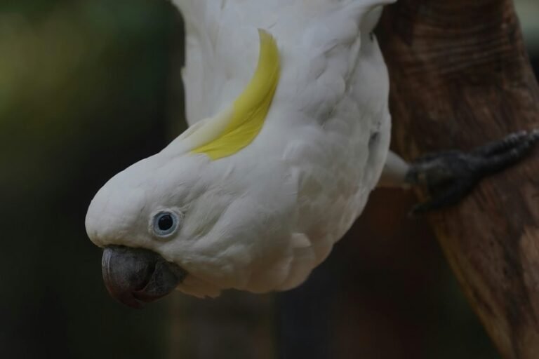 enterprise intelligence data extraction